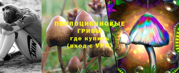МДПВ Арсеньев