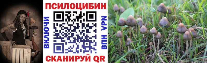Купить  Долинск  Галлюциногенные грибы мухоморы 